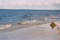 FujiFrontierSP3000_0037-scaled