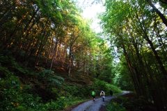 20230728_200201-1-scaled