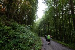 20230728_200246-1-scaled