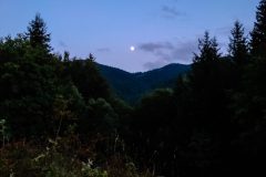 20230728_204153-1-scaled