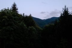 20230728_204215-1-scaled