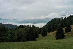 20230729_083339-1-scaled