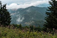 20230729_100037-1-scaled