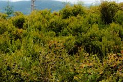 20230729_144303-1-scaled