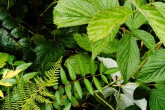 20230729_152829-1-scaled