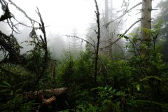 20230729_152912-1-scaled