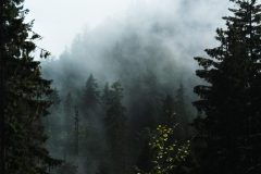 20230729_154200-1-scaled