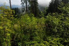 20230729_154222-1-scaled