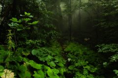 20230729_162304-1-scaled