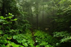 20230729_162309-1-scaled