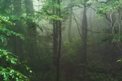 20230729_162315-1-scaled