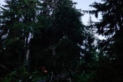 20230729_204952-1-scaled