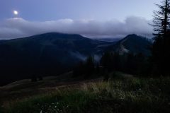 20230729_205912-1-scaled