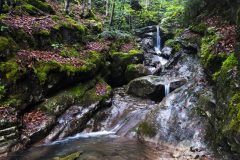 20230730_101241-1-scaled