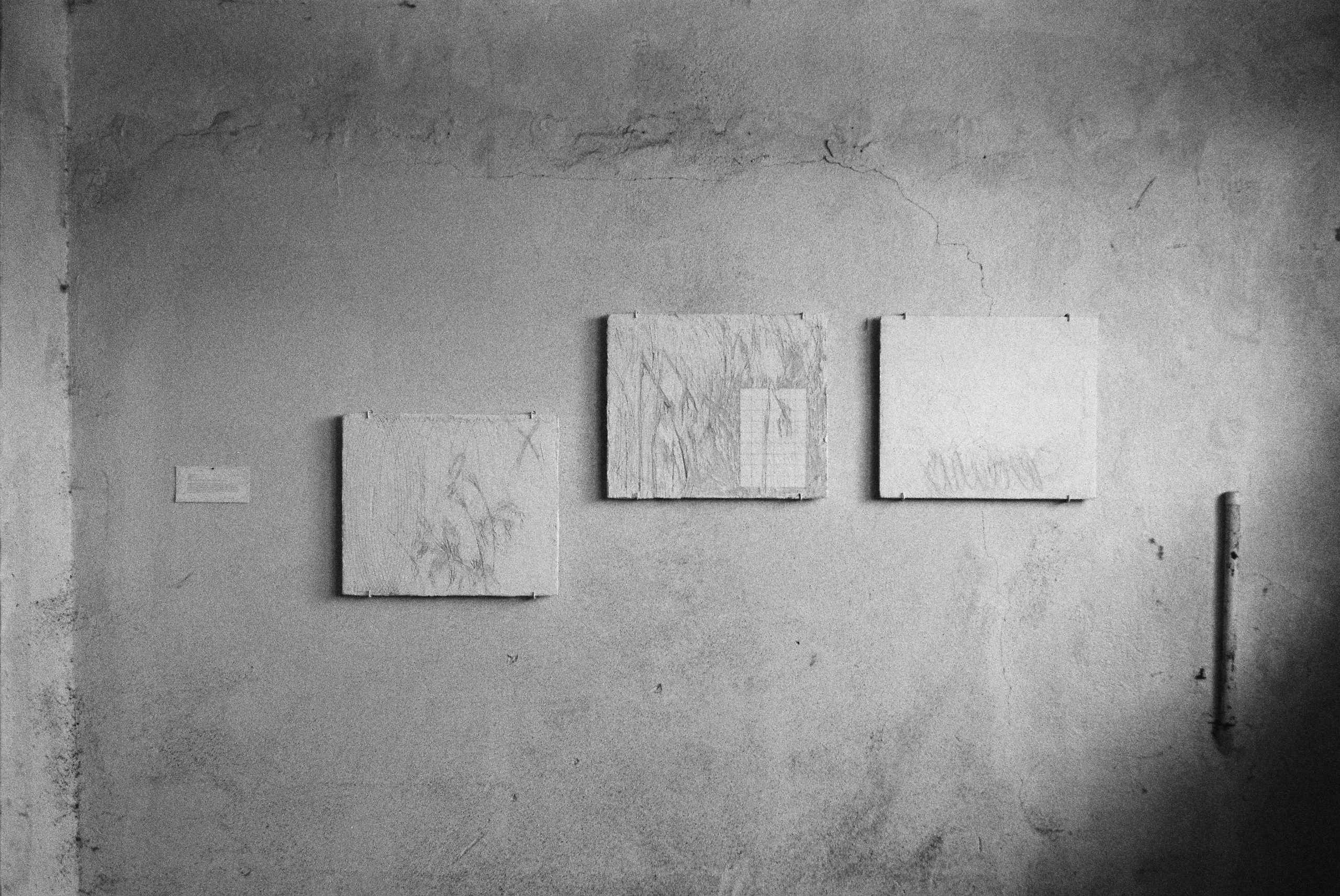 Life is A-changin’